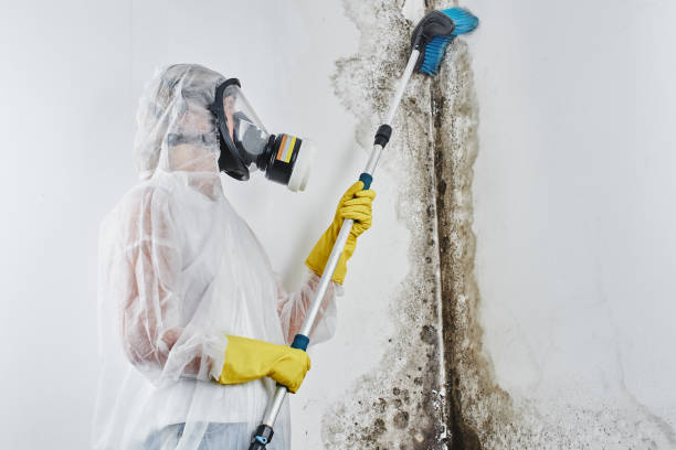 Best Biohazard Mold Removal  in Pocono Ranch Lands, PA